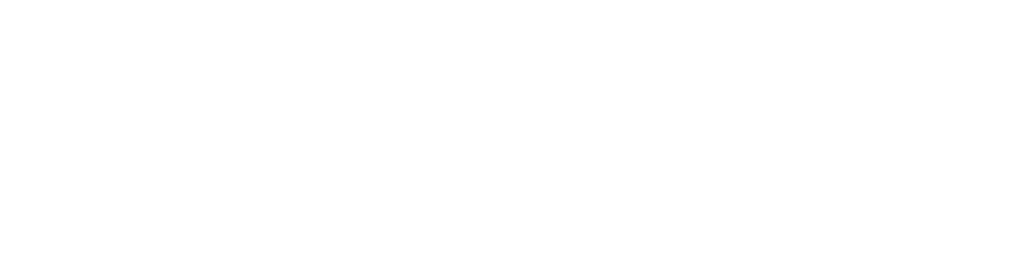 Chu Capital Management